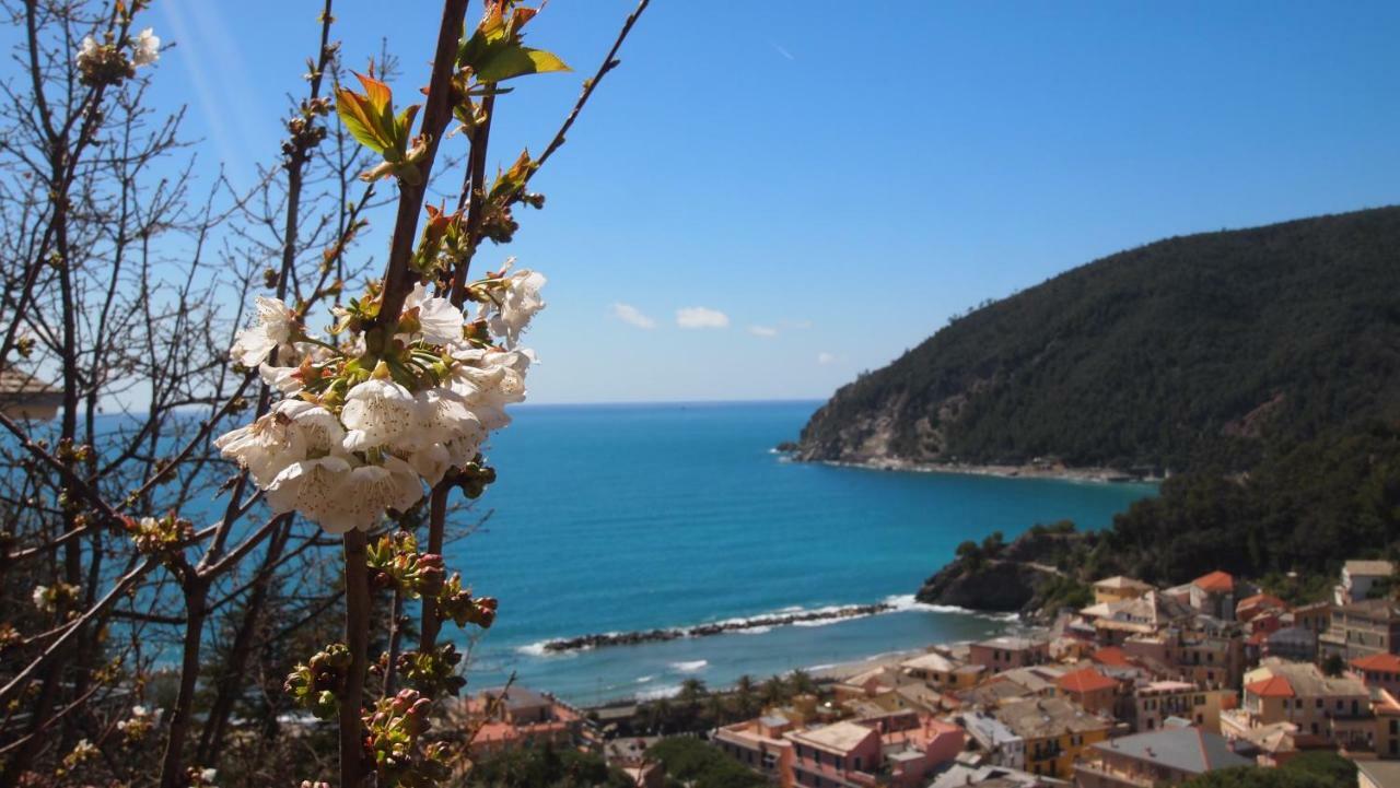 Piccolo Hotel Moneglia Εξωτερικό φωτογραφία
